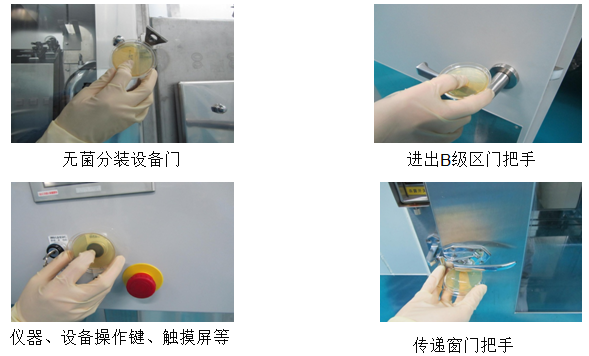 表面微生物檢測